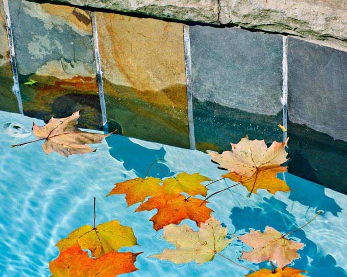 piscina-otono-hojas