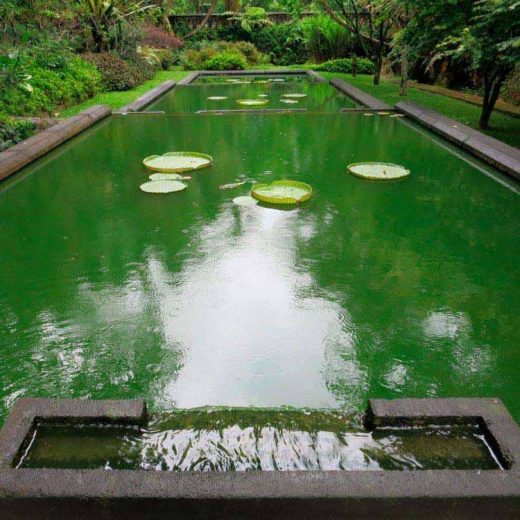 piscina-agua-verde